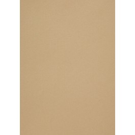 Dekoratyvinis popierius Curious Metallics Gold Leaf, A4, 250g, 10 lapų