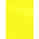 Kartoninės įrišimo nugarėlės Chromo, A4, 250g, lygios, geltonos spalvos, 100vnt
