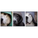 Sąsiuvinis Dogs in da hood, А5, (165x205mm), su spirale šone, 96 lapų, langeliais
