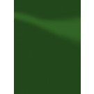 Kartoninės įrišimo nugarėlės Chromo, A4, 250g. lygios. žalios spalvos, 100vnt